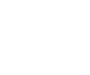 The W Cosmetics